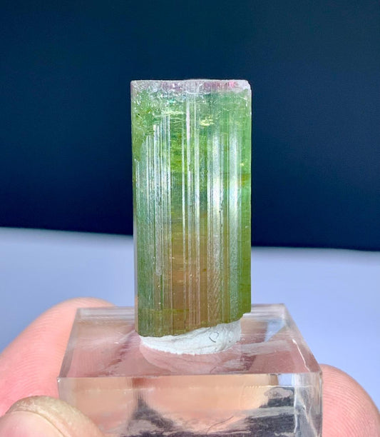 Watermelon Tourmaline Crystal from Afghanistan - 44 carats