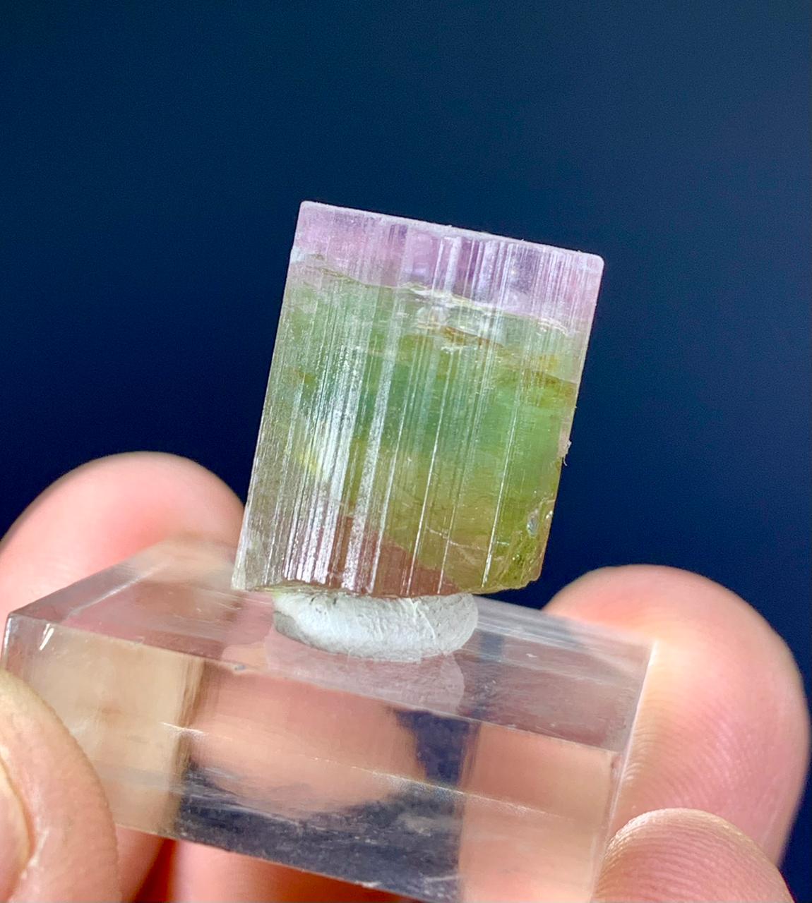 Watermelon Tourmaline Crystal from Afghanistan - 31.50 carats