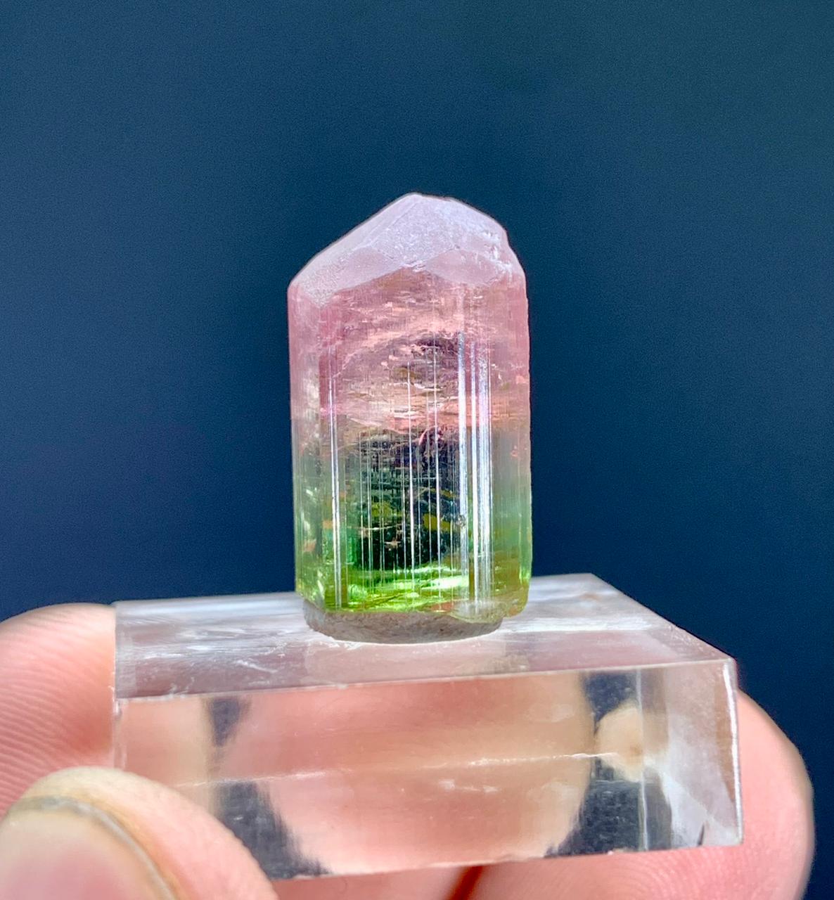 Tourmaline Crystal from Paprok Afghanistan - 19.50 carats