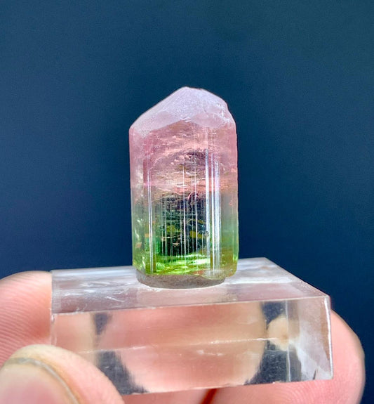 Tourmaline Crystal from Paprok Afghanistan - 19.50 carats