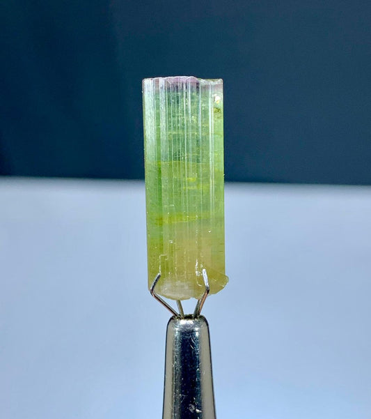 Tourmaline Crystal from Paprok Afghanistan - 17 carats