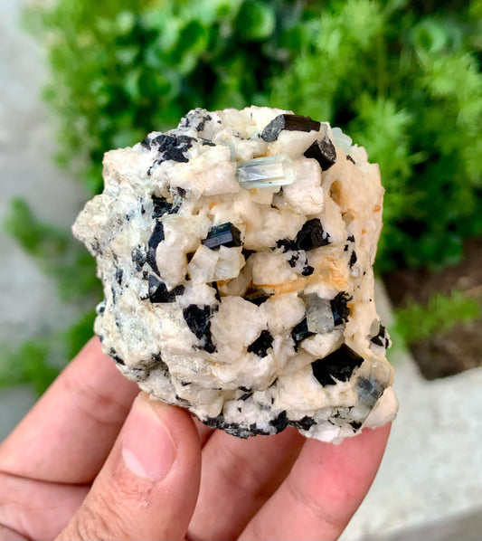 Sky Blue Aquamarine Crystals with Schorl on Matrix from Shigar valley Skardu Pakistan - 200 gram