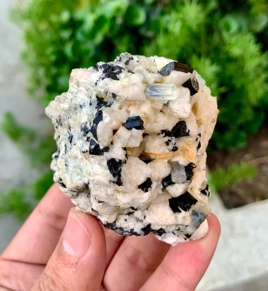 Sky Blue Aquamarine Crystals with Schorl on Matrix from Shigar valley Skardu Pakistan - 200 gram