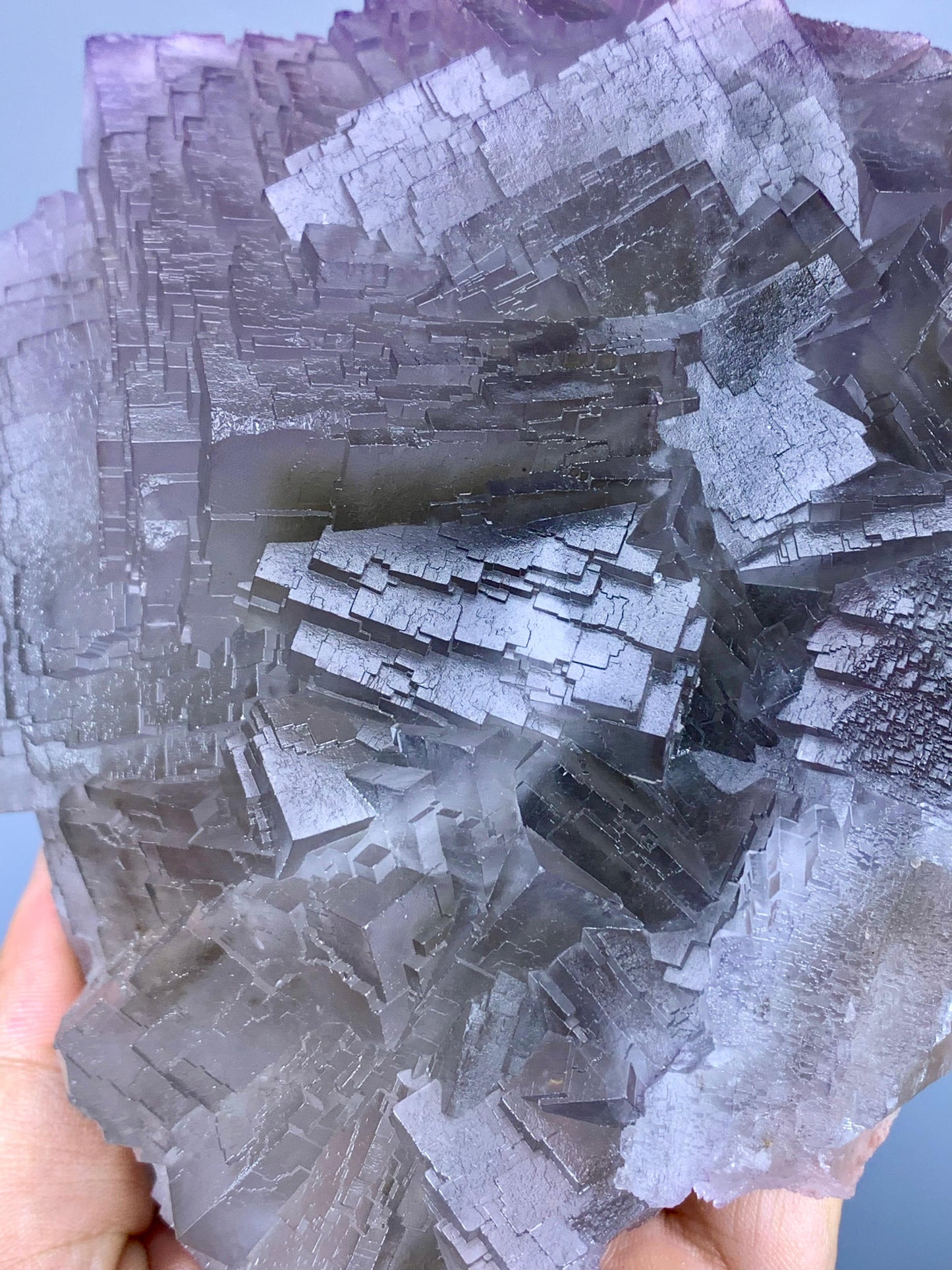 Huge Size Purple Phantom Fluorite, Unique Stepwise Terminations, Natural Fluorite Specimen - 1164 gram