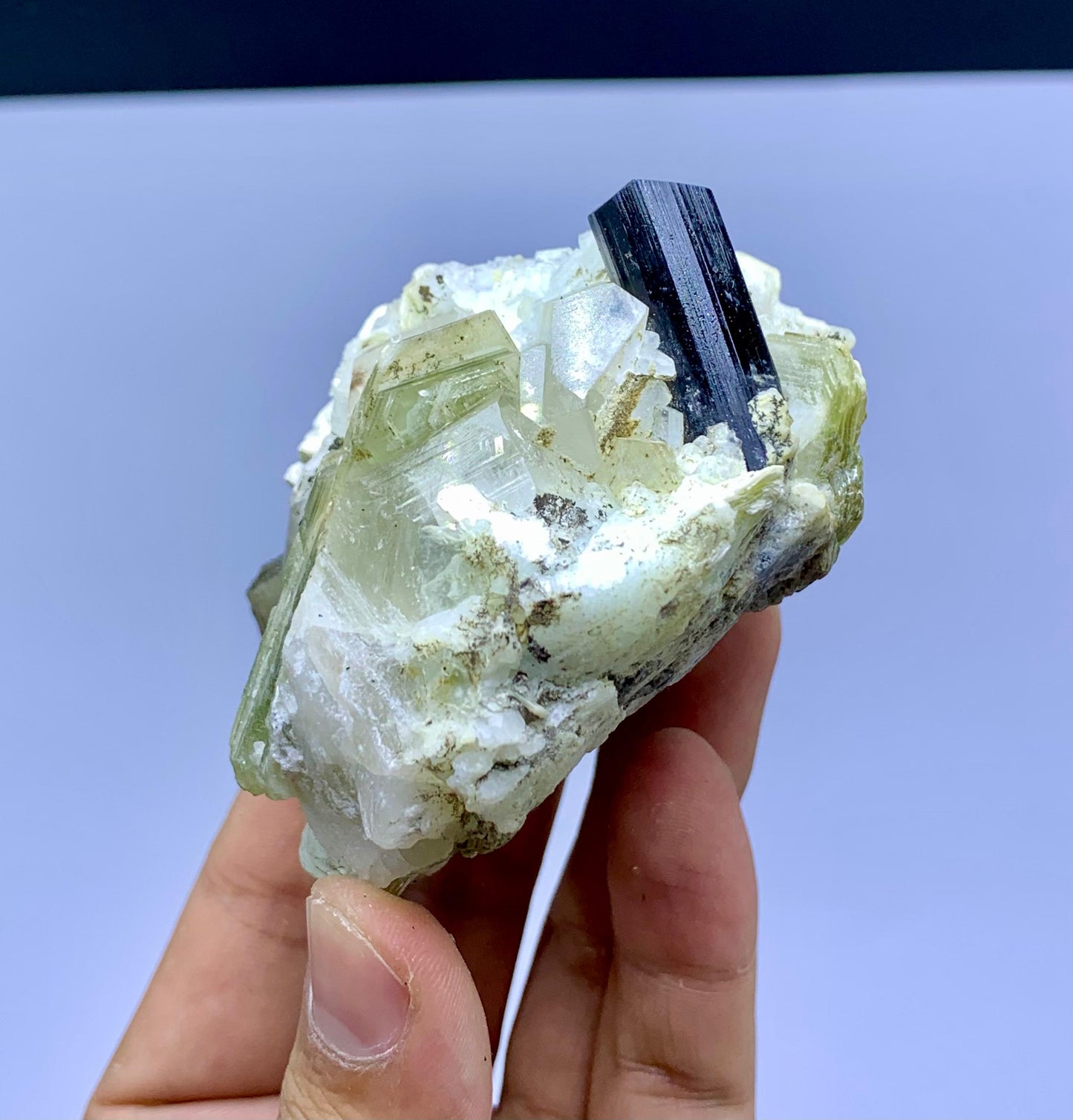 Schorl Black Tourmaline on Quartz and Mica from Pakistan - 237 gram