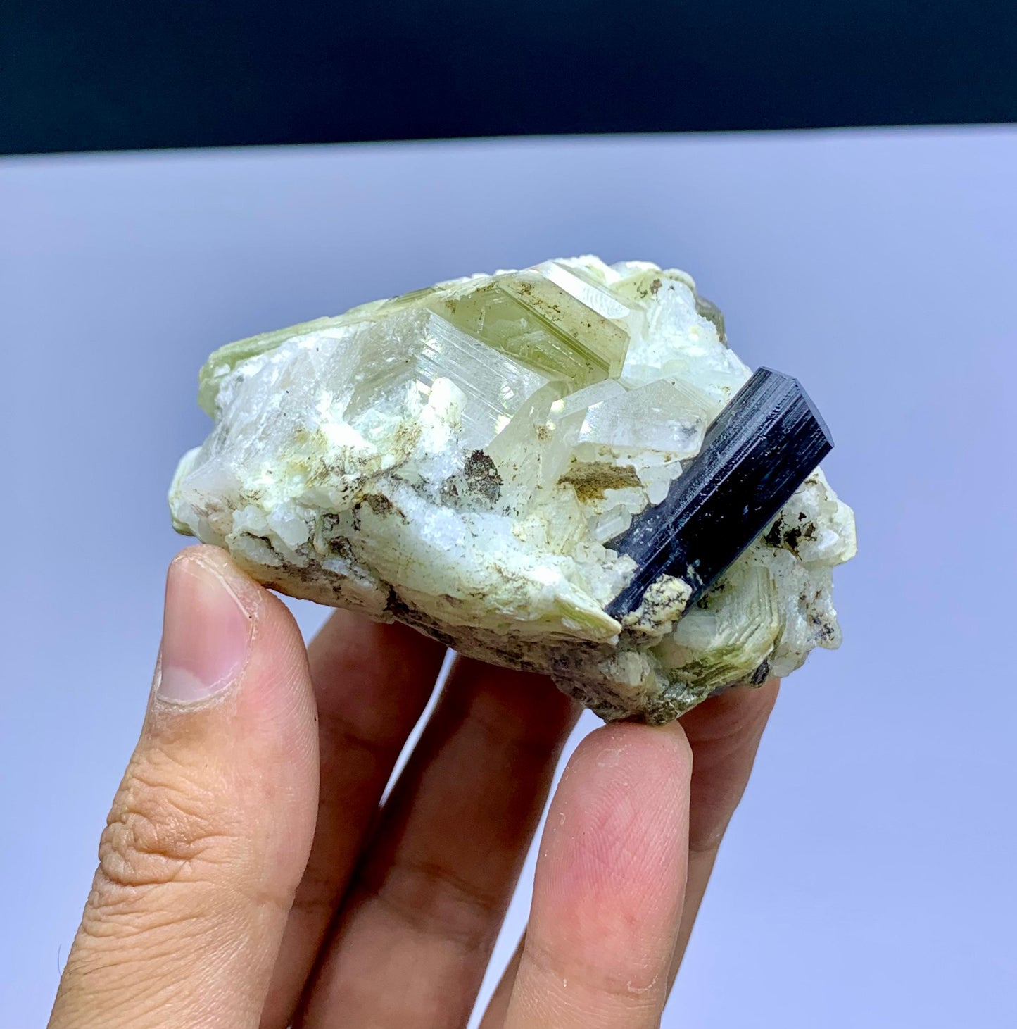 Schorl Black Tourmaline on Quartz and Mica from Pakistan - 237 gram