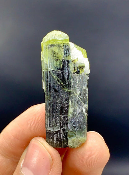 Amazing Bicolor Tourmaline Twinned Tourmaline, Natural Green Cap Crystals - 72.60 carat