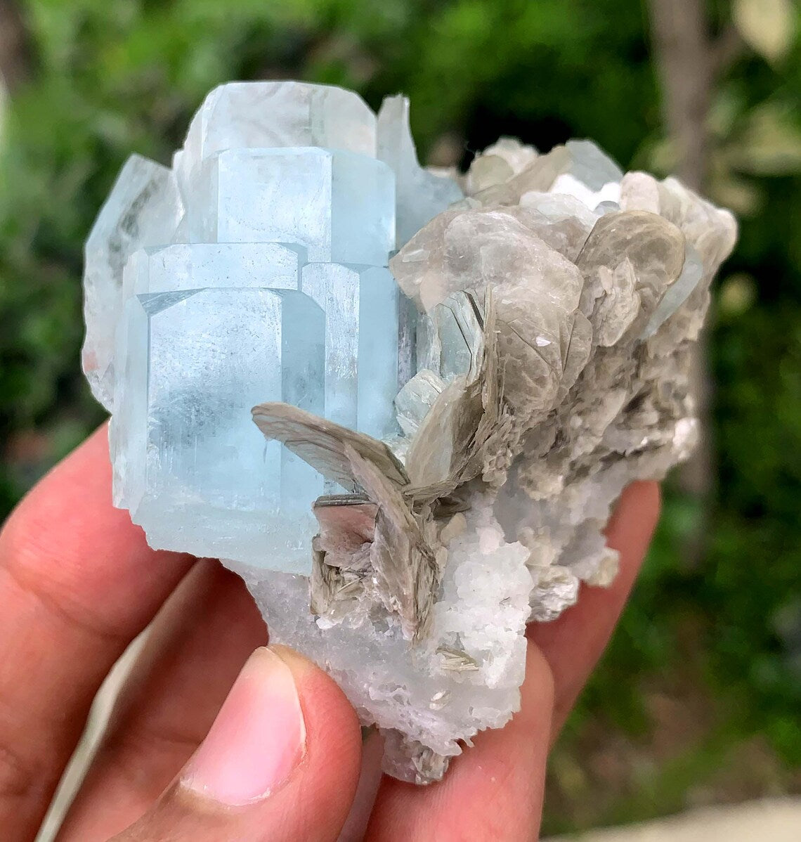 Blue Aquamarine on Mica from Pakistan - 103 gram