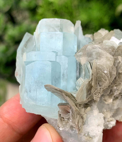 Blue Aquamarine on Mica from Pakistan - 103 gram