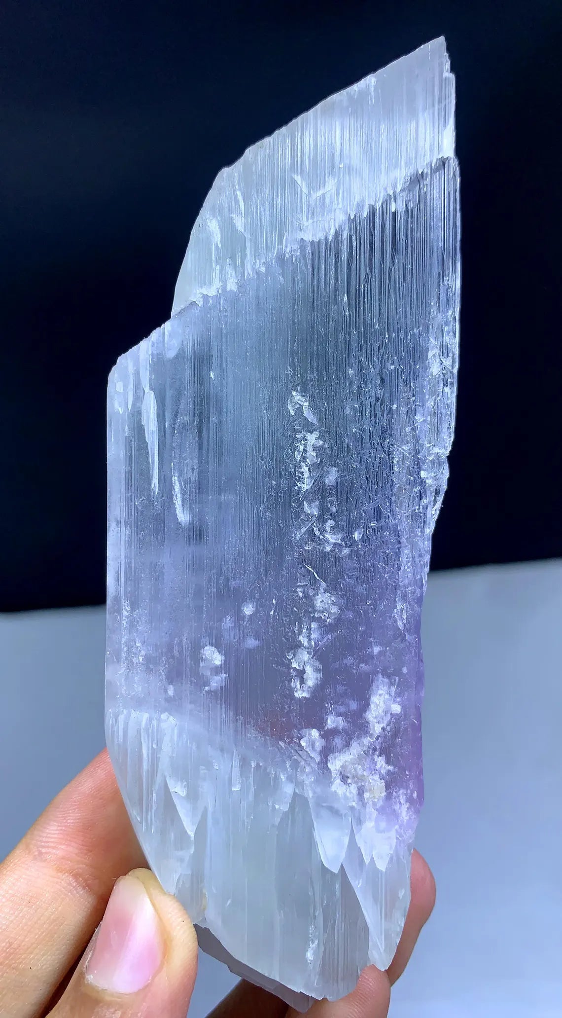 Double Sided Terminated Bi Color Kunzite Crystal From Afghanistan / 150 Gram