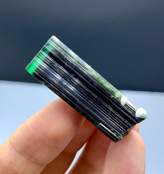 Stunning Green Cap Bicolor Tourmaline Crystal - 79.10 carat