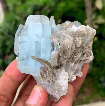 Blue Aquamarine on Mica from Pakistan - 103 gram