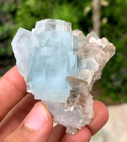 Blue Aquamarine on Mica from Pakistan - 103 gram