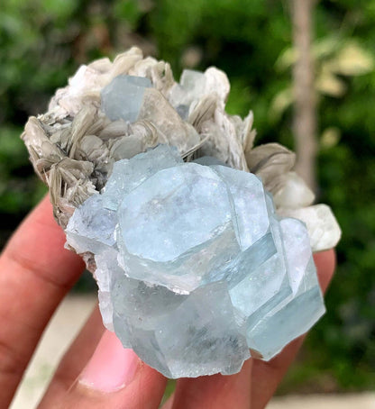 Blue Aquamarine on Mica from Pakistan - 103 gram
