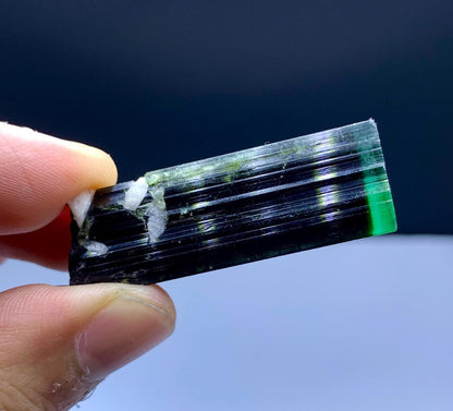 Stunning Green Cap Bicolor Tourmaline Crystal - 79.10 carat
