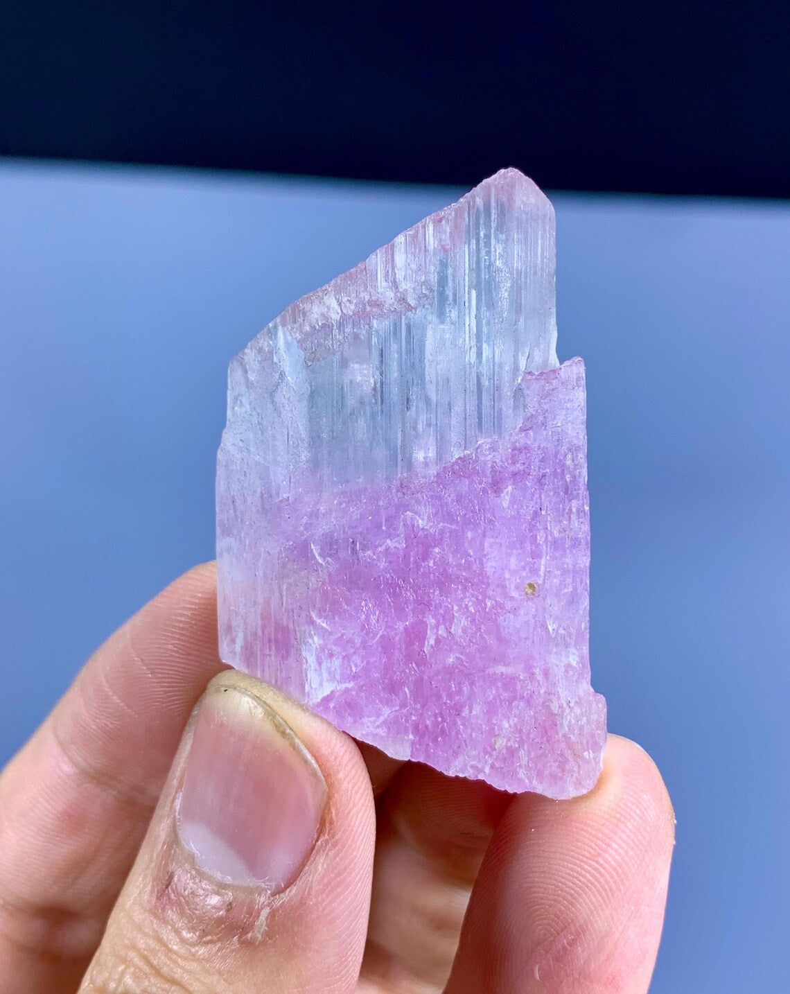 Bicolor Kunzite Crystal from Afghanistan - 21 gram
