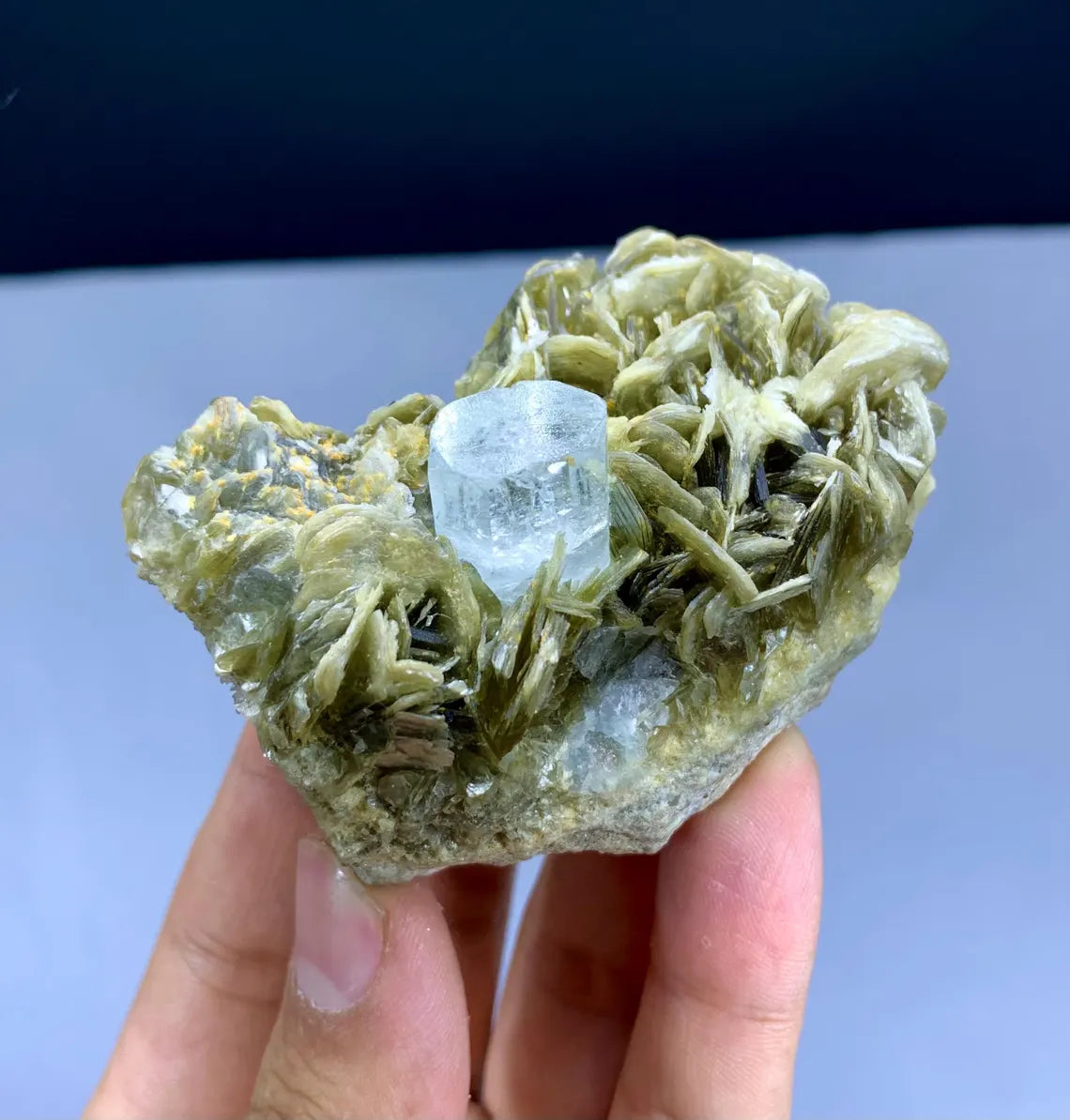 Blue Aquamarine on Muscovite from Pakistan - 163 gram