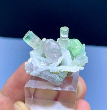 Bicolor Tourmaline Crystals on Cleavelandite Albite from Afghanistan - 14 gram