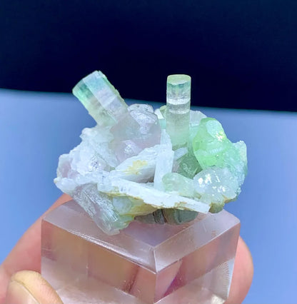 Bicolor Tourmaline Crystals on Cleavelandite Albite from Afghanistan - 14 gram