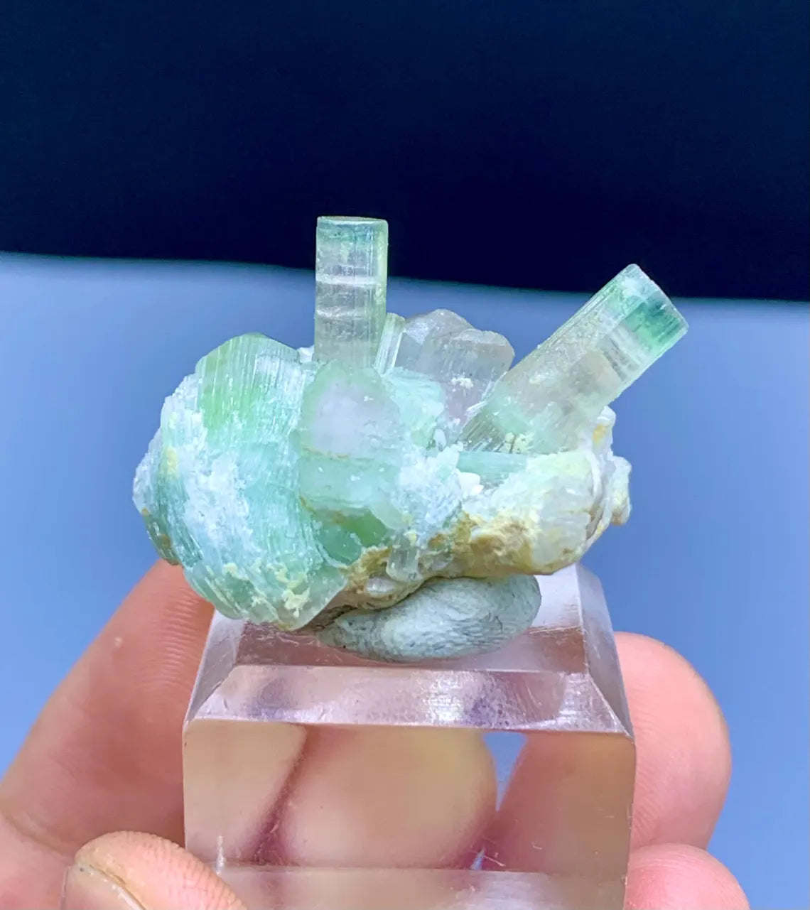 Bicolor Tourmaline Crystals on Cleavelandite Albite from Afghanistan - 14 gram