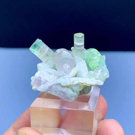 Bicolor Tourmaline Crystals on Cleavelandite Albite from Afghanistan - 14 gram