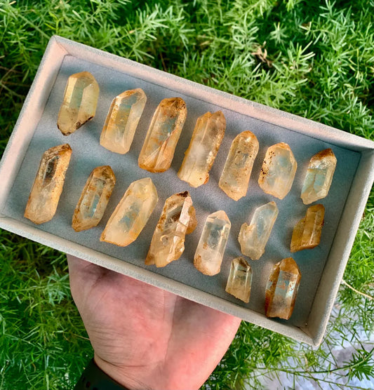 16 Pcs Yellow Clear Quartz Lot - 285 gram