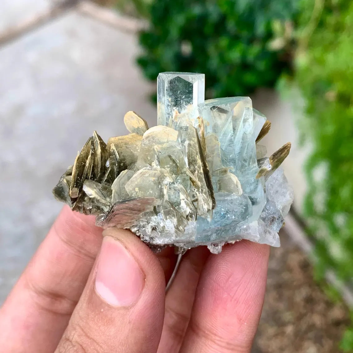 Transparent Sky Blue Aquamarine Cluster on Muscovite from Pakistan - 36 gram