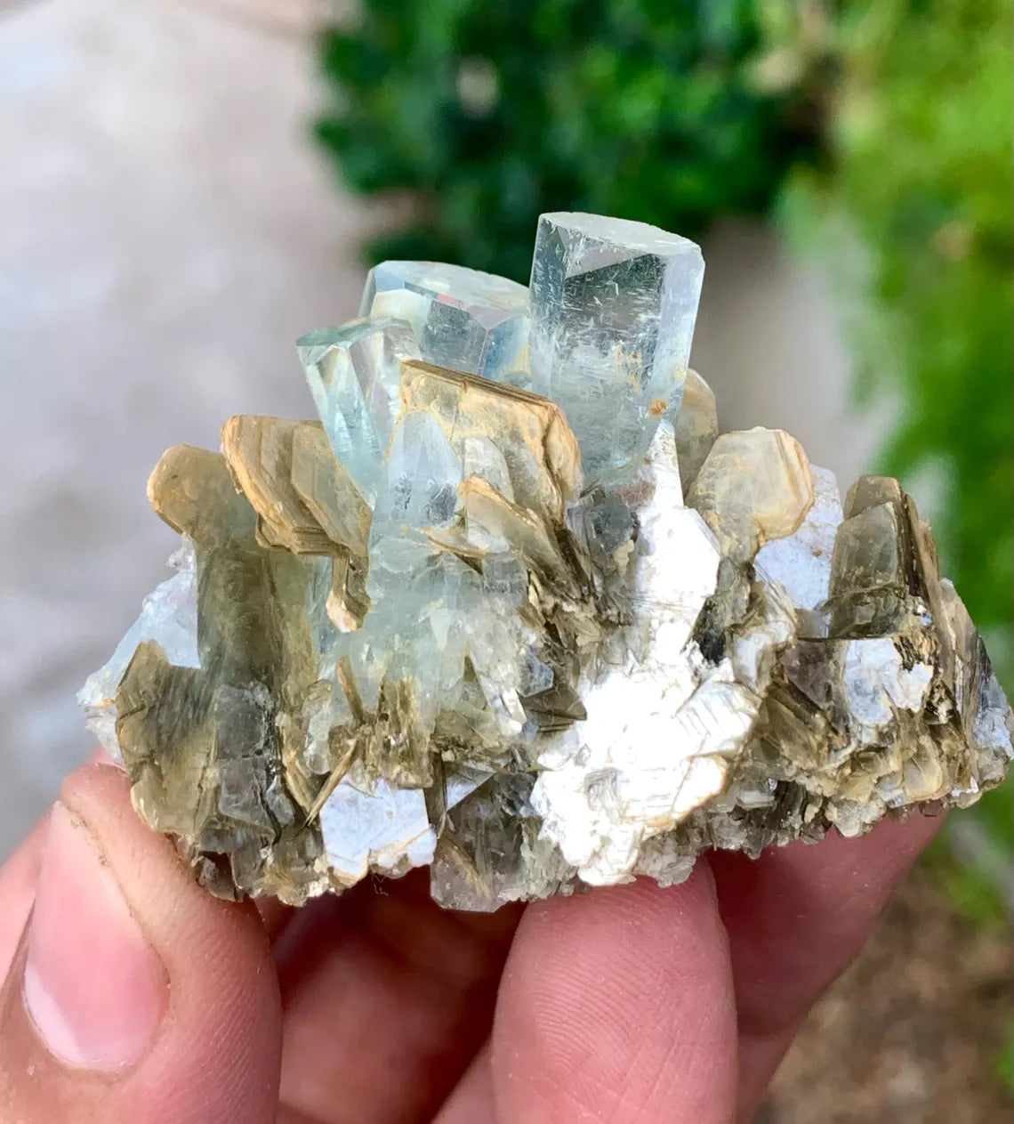 Transparent Sky Blue Aquamarine Cluster on Muscovite from Pakistan - 36 gram