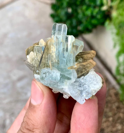 Transparent Sky Blue Aquamarine Cluster on Muscovite from Pakistan - 36 gram