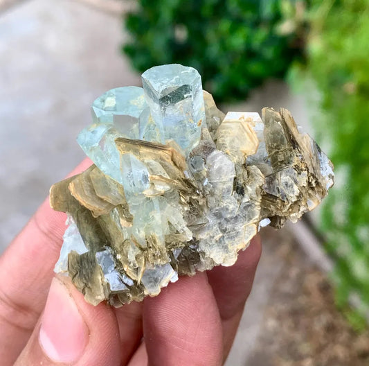 Transparent Sky Blue Aquamarine Cluster on Muscovite from Pakistan - 36 gram