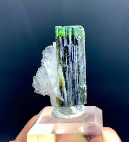 Lustrous Green Cap Tourmaline on Cleavelandite Albite from Astak Nala Mine Pakistan - 07 gram