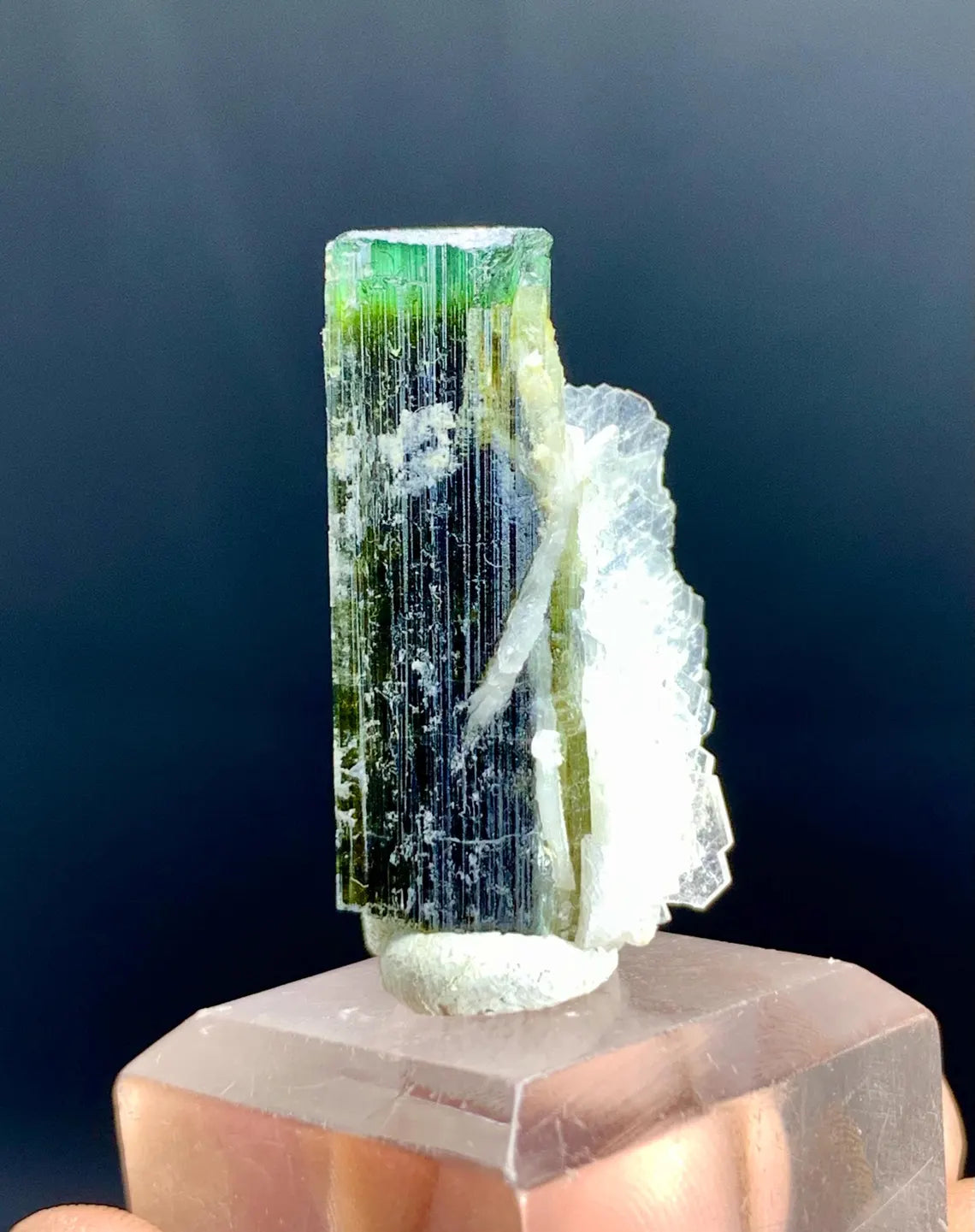 Lustrous Green Cap Tourmaline on Cleavelandite Albite from Astak Nala Mine Pakistan - 07 gram