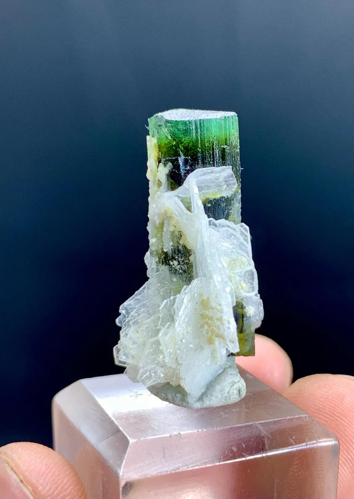Lustrous Green Cap Tourmaline on Cleavelandite Albite from Astak Nala Mine Pakistan - 07 gram