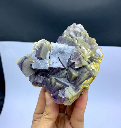 Purple & Yellow Phantom Fluorite Specimen - 598 gram