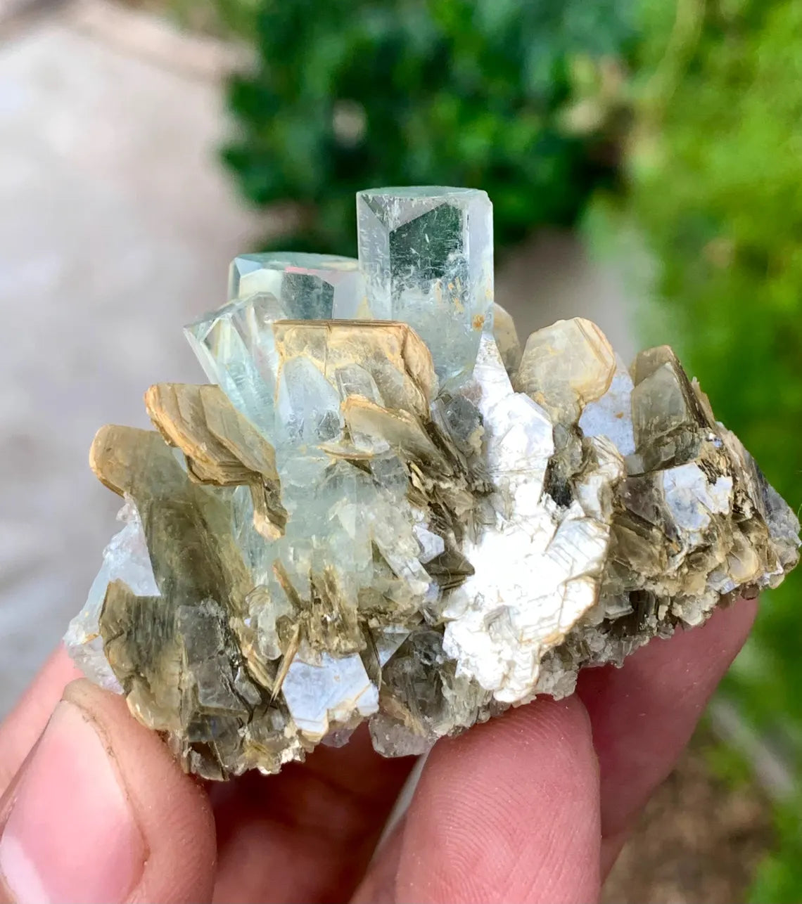 Transparent Sky Blue Aquamarine Cluster on Muscovite from Pakistan - 36 gram