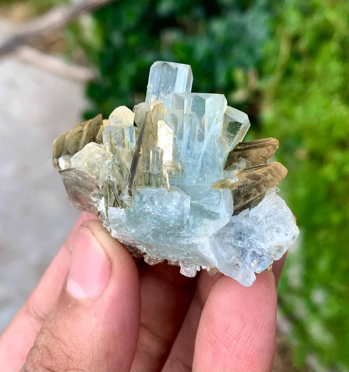 Transparent Sky Blue Aquamarine Cluster on Muscovite from Pakistan - 36 gram