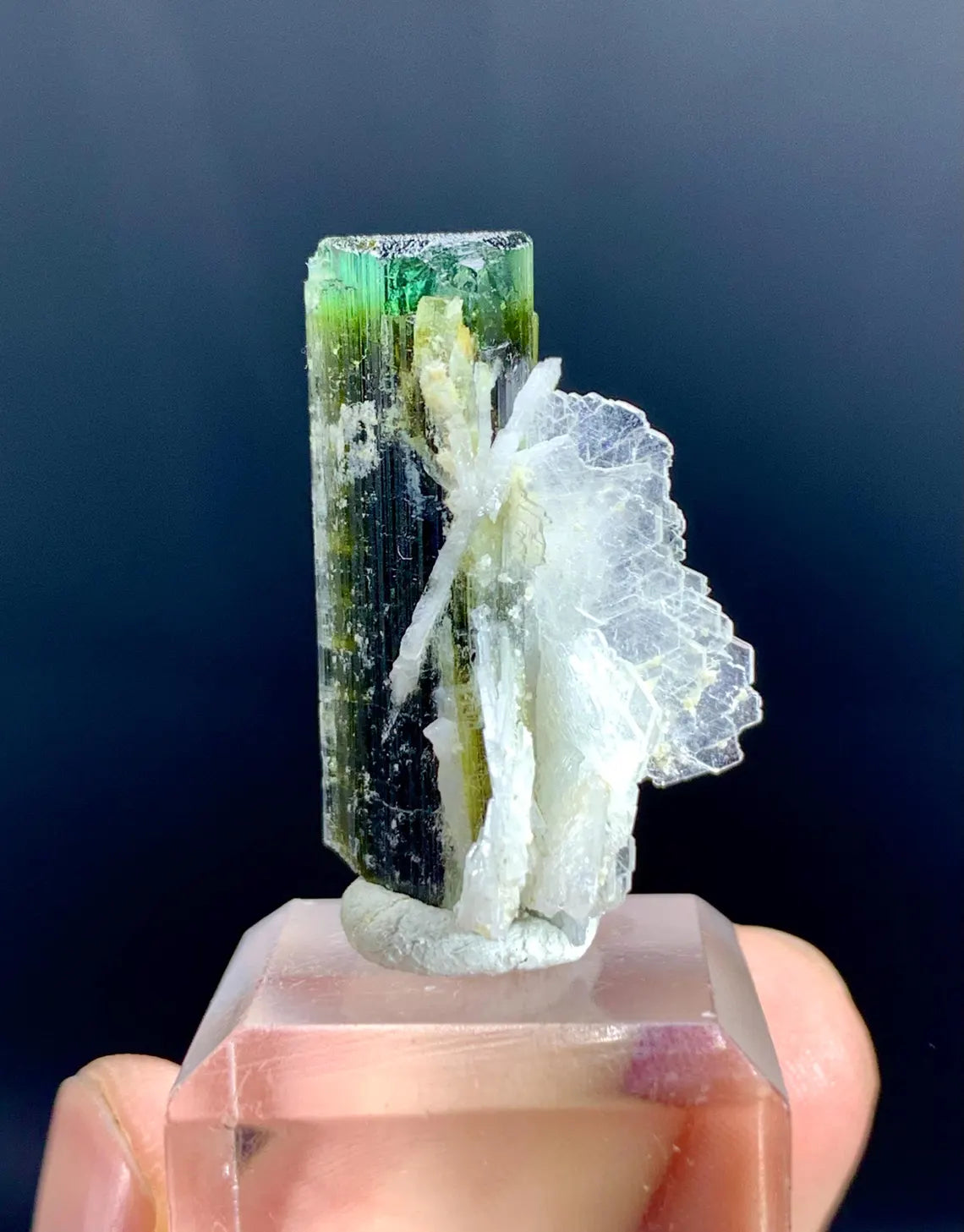 Lustrous Green Cap Tourmaline on Cleavelandite Albite from Astak Nala Mine Pakistan - 07 gram