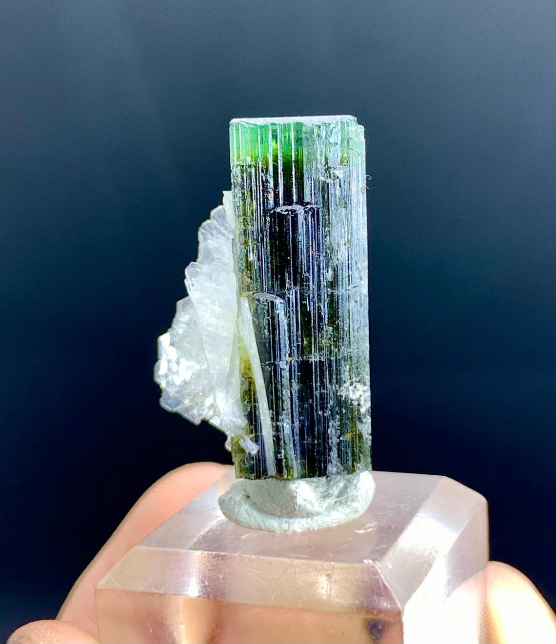 Lustrous Green Cap Tourmaline on Cleavelandite Albite from Astak Nala Mine Pakistan - 07 gram