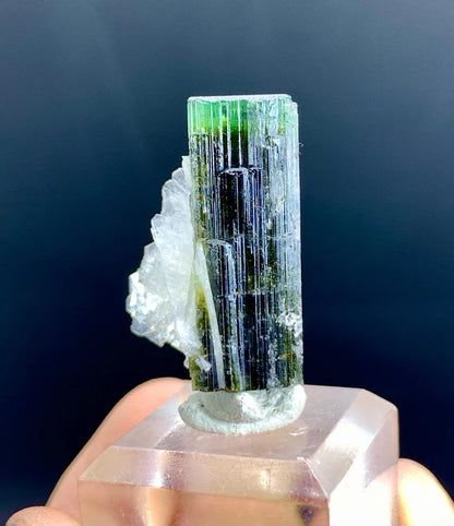 Lustrous Green Cap Tourmaline on Cleavelandite Albite from Astak Nala Mine Pakistan - 07 gram