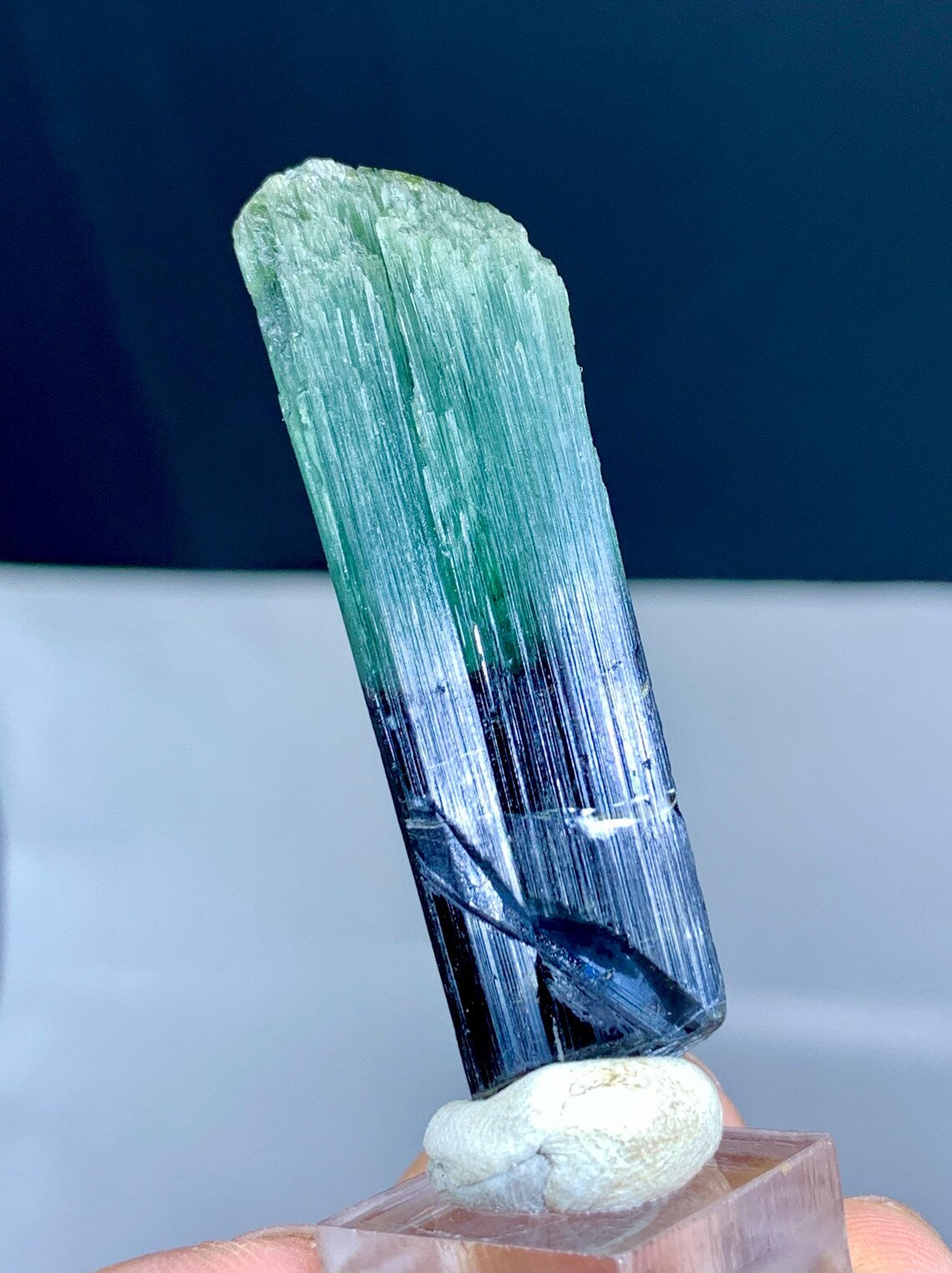 Lustrous Bicolor Tourmaline Crystal from Pakistan - 15 gram