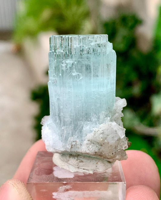 Sky Bkue Aquamarine Crystals on Albite from Shigar valley Pakistan - 18 grams