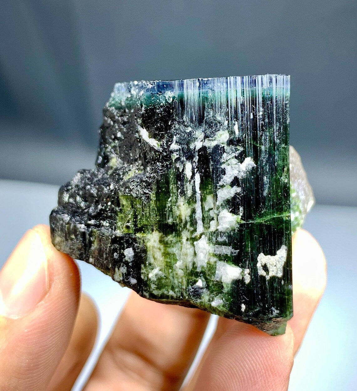 Blue Cap Tourmaline with Lepidolite from Paprok, Afghanistan - 78 grams