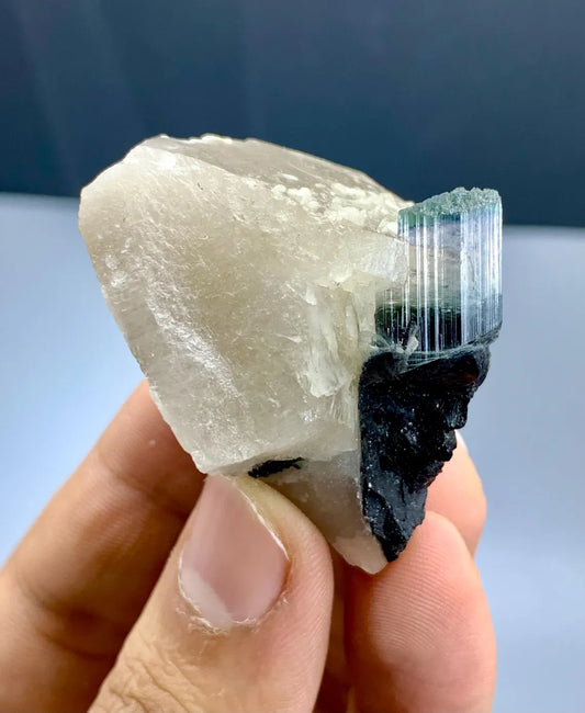 Bicolor Tourmaline on Quartz from Afghanistan - 45 gram
