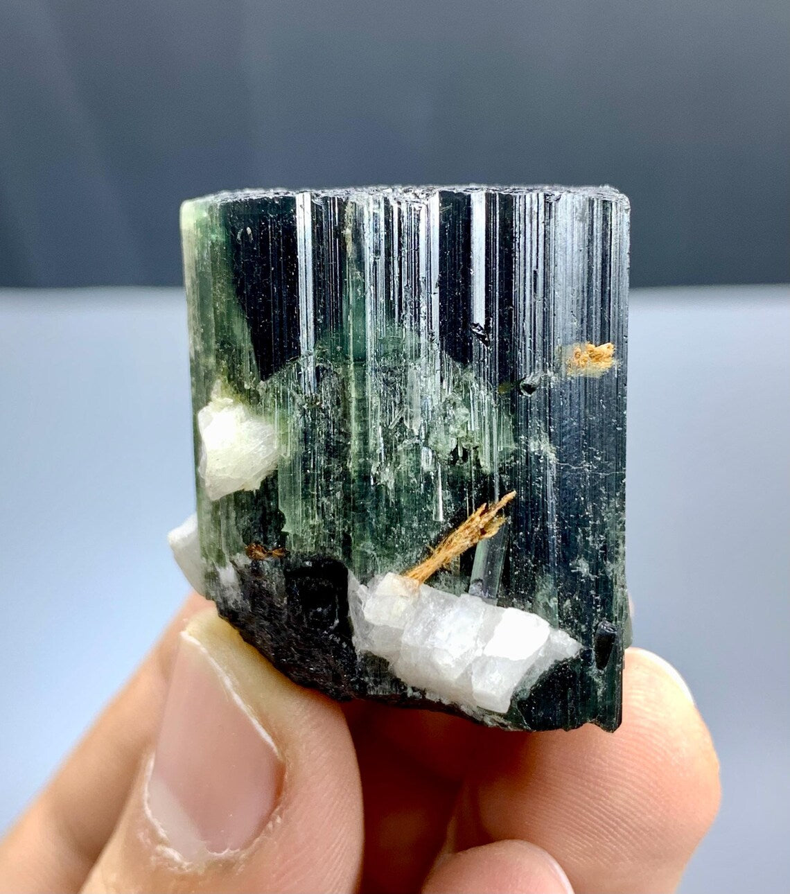 Green Tourmaline with Rare Tantalite from Skardu Pakistan - 46 grams