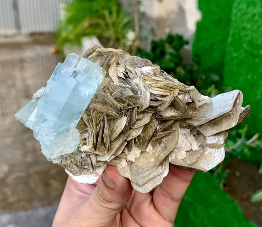 Sky Blue Aquamarine Crystal on Muscovite from Pakistan - 340 grams
