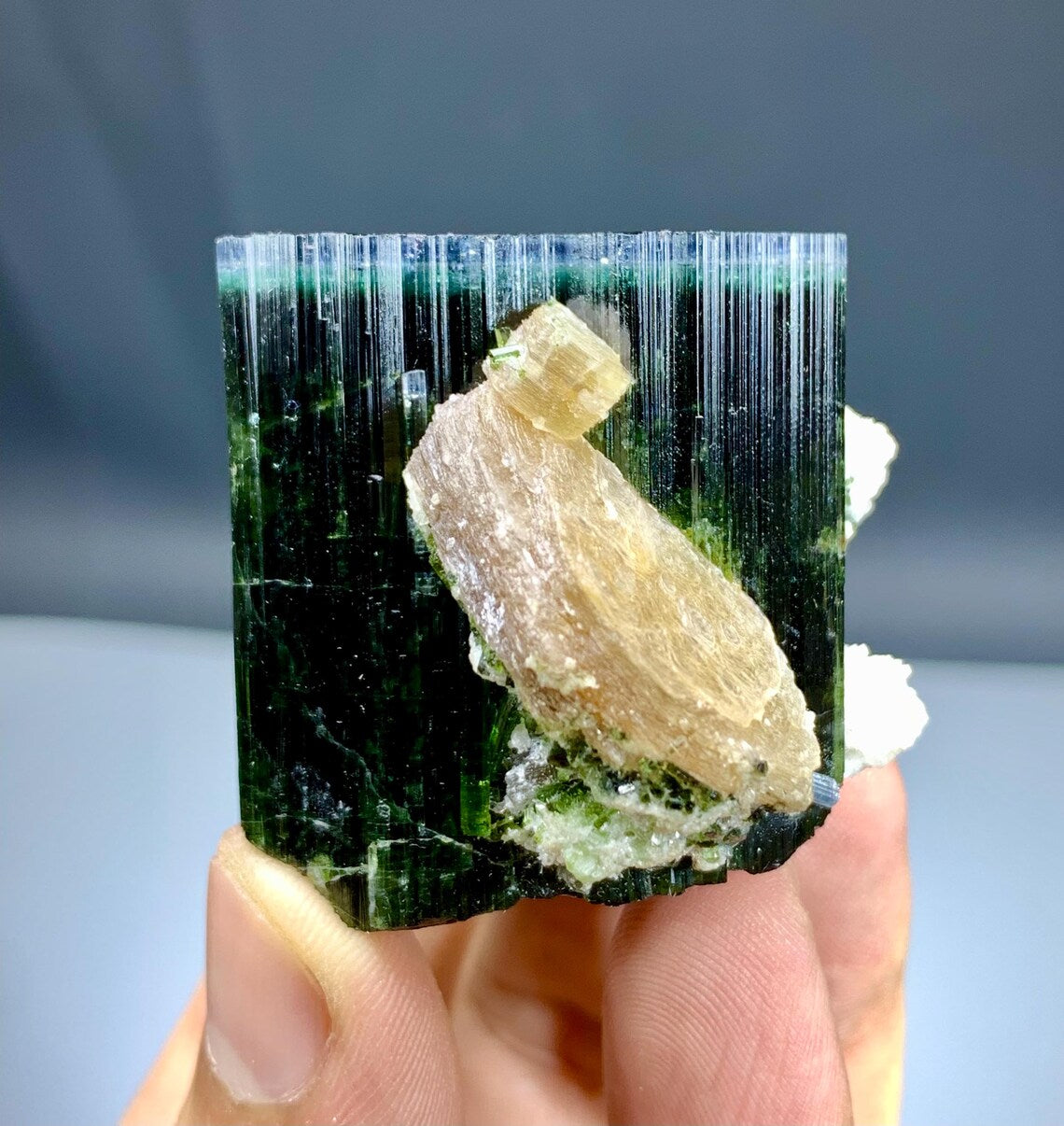 Blue Cap Tourmaline with Lepidolite from Paprok, Afghanistan - 78 grams