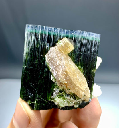 Blue Cap Tourmaline with Lepidolite from Paprok, Afghanistan - 78 grams