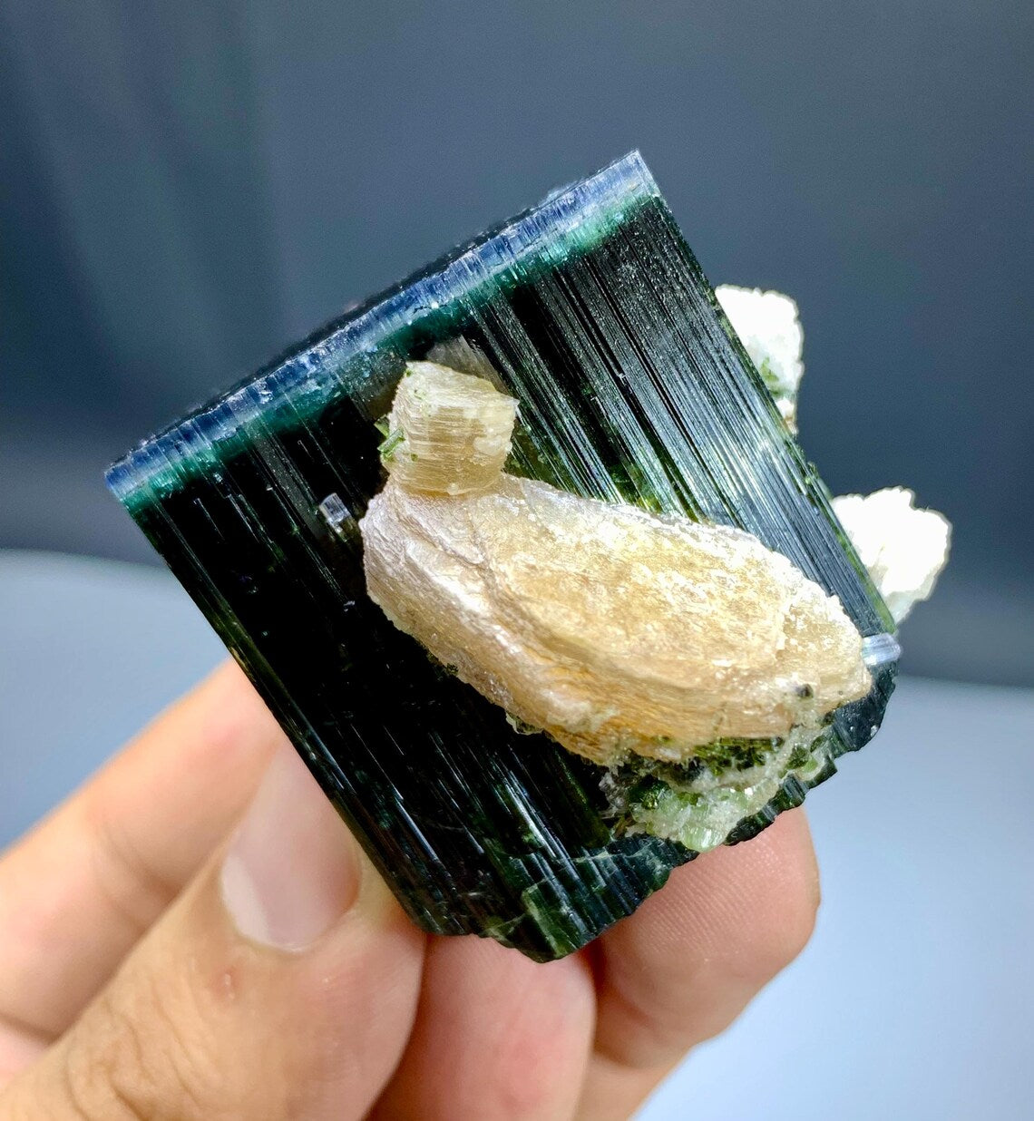 Blue Cap Tourmaline with Lepidolite from Paprok, Afghanistan - 78 grams