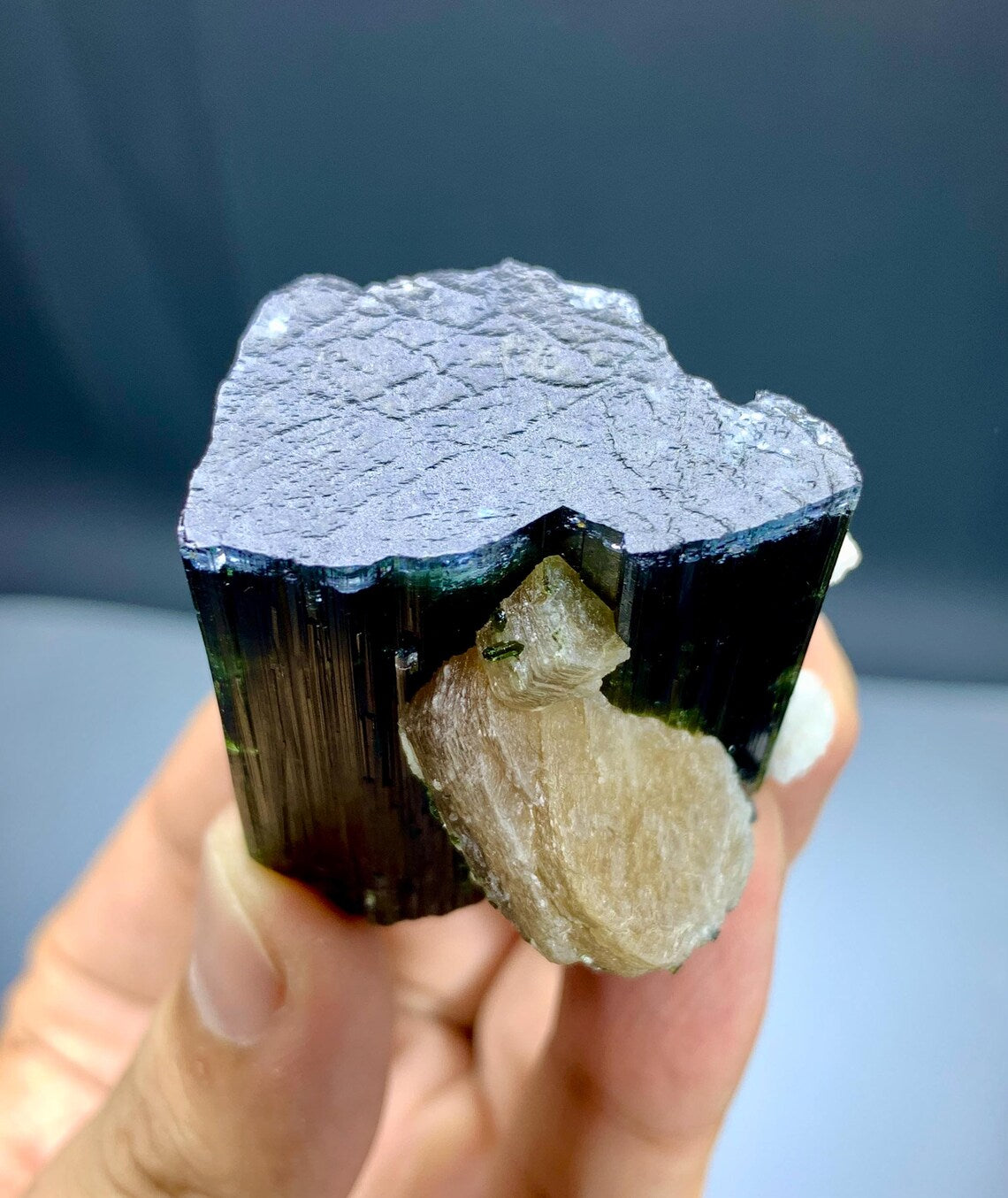 Blue Cap Tourmaline with Lepidolite from Paprok, Afghanistan - 78 grams