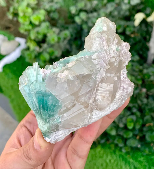 Paraiba-Like Color Tourmaline Cluster with Lepidolite on Quartz from Afghanistan - 287 grams